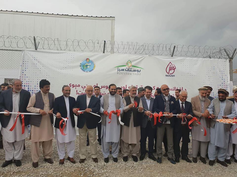 بزرگترین فابریکه تولید آب طبیعی انگور  در پروان به بهره برداری سپرده شد