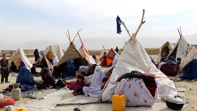 Faryab war-displaced families in Balkh need urgent aid