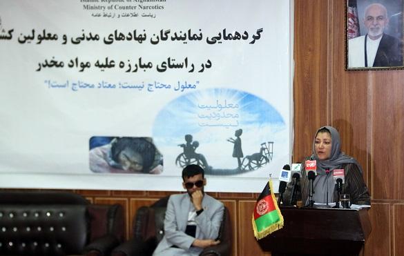 “امریکا، اراده قاطع برای مبارزه با کشت کوکنار و قاچاق آن نداشته است”