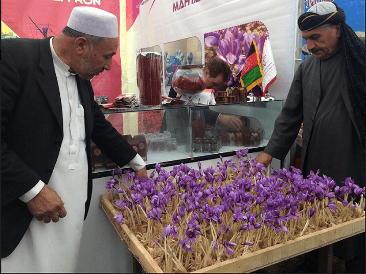 چهارمین جشنواره ملی گل زعفران،هرات