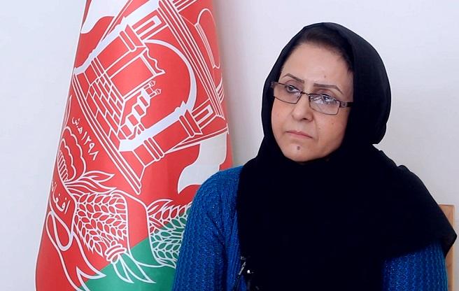 Nearly 2,900 businesses granted licenses in Herat last year