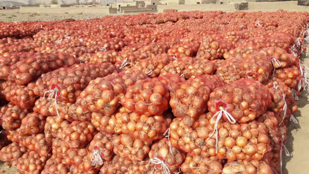 Onions price up by 30pc in Balkh
