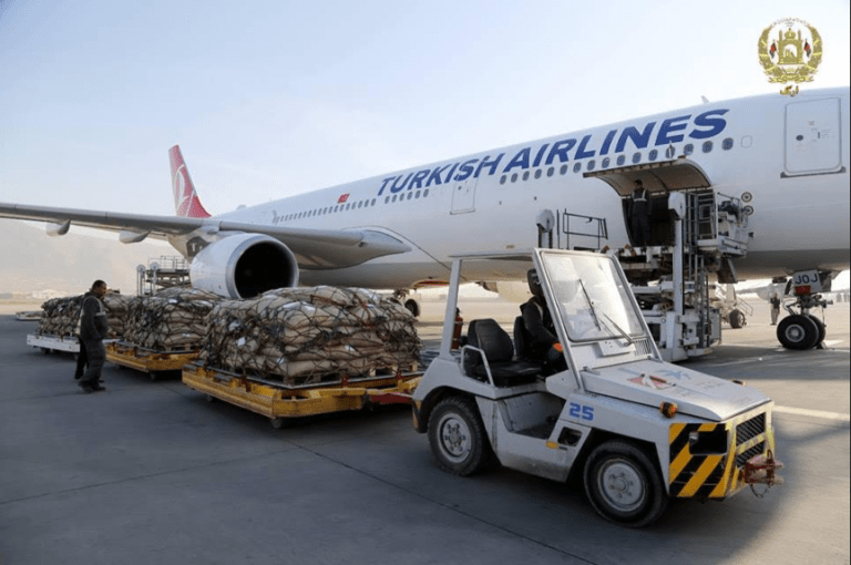 Pine nuts export to China will reach 1,000 tonnes this month