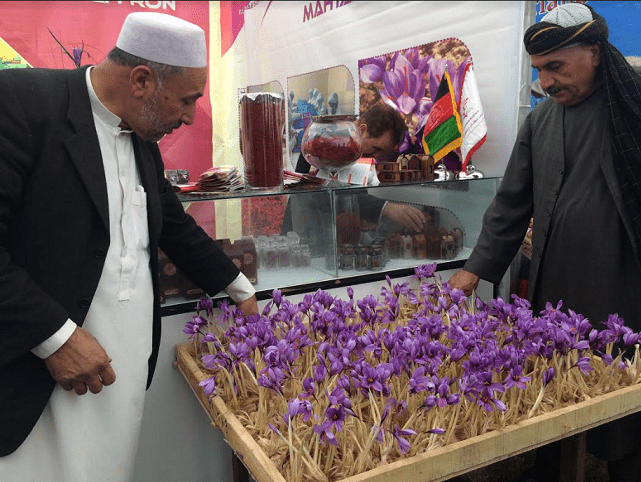 In Afghanistan, saffron yield up by 22pc this year