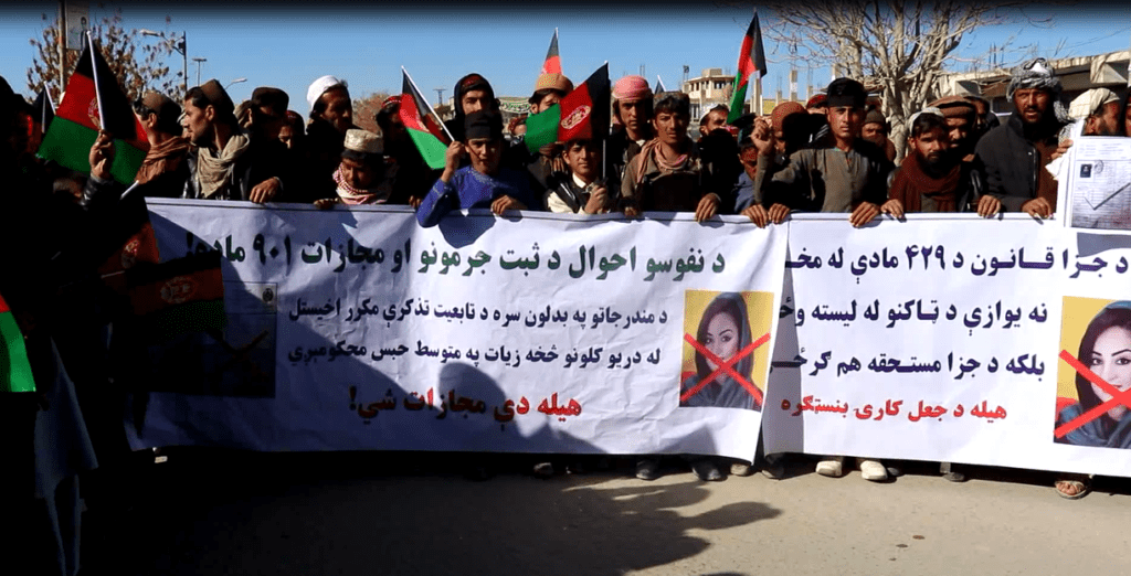 لاريونوال: پکتيکا څخه ولسي جر ګې ته بريالۍ شوې هيله مجتبى دوه تذکرې لري