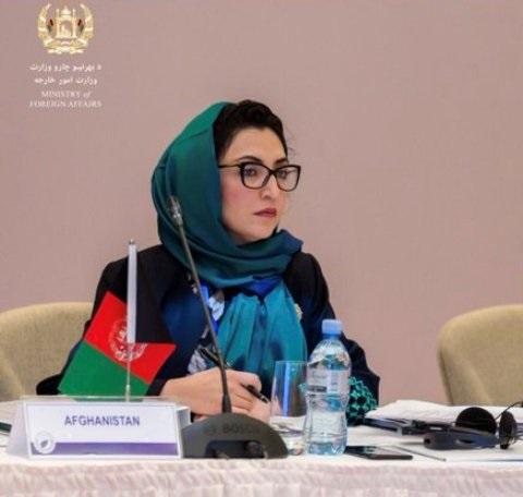 Adela Raz new Afghan ambassador to UN