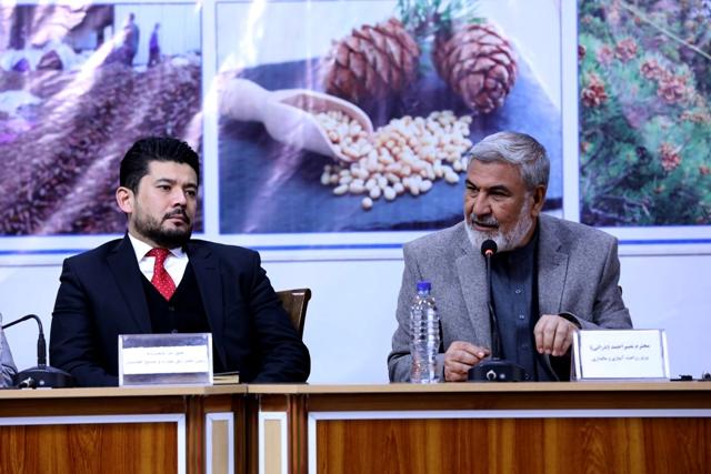 سال گذشته ١٣٠٠ تُن جلغوزه از افغانستان صادر شده است