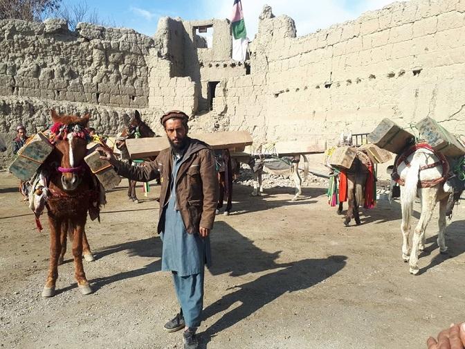 3 detained in Kunar; timber smuggling bid foiled