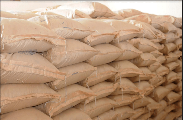 Thousands of farmers receive seeds in Bamyan