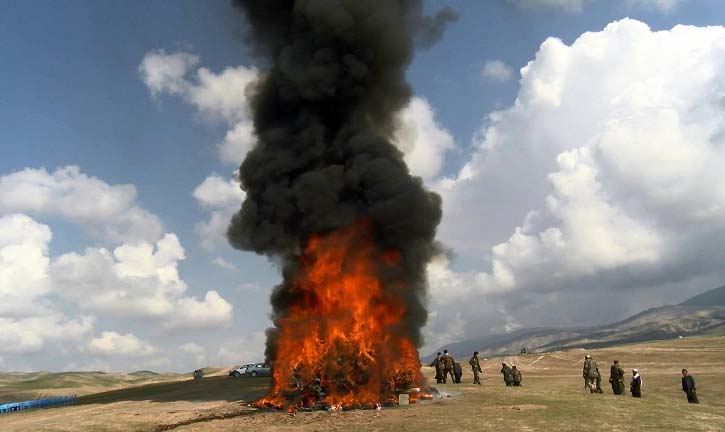 بغلان کې سلګونه کیلوګرامه نشه يي توکي وسوځول شول