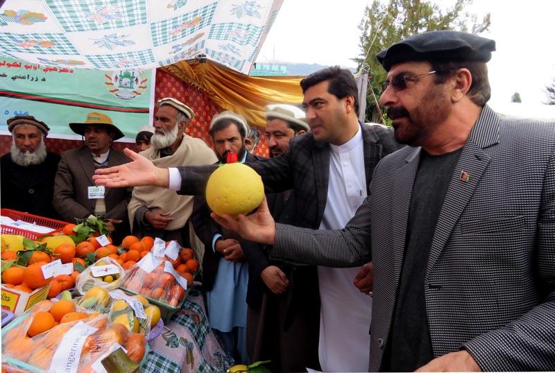 Kunar agricultural products exhibtion kicks off
