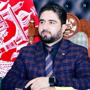 All government vehicles being registered: NSC