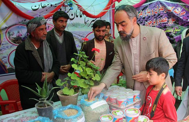 National Farmers’ Day marks in Herat