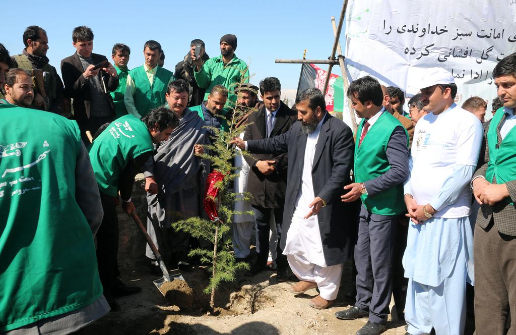 شاروالی کابل: از نهال ها در شهر کابل با یک میکانیزم جدید مواظبت می گردد