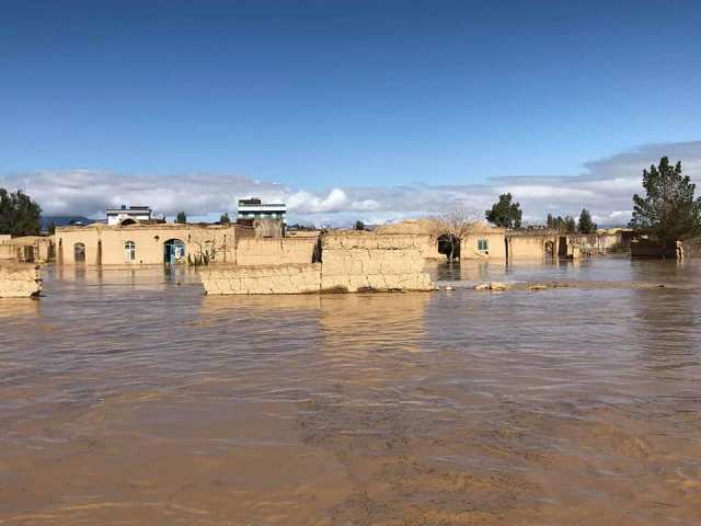 Flash floods leave dozens of homes, farmland damaged in Farah