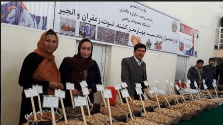 نمایشگاه محصولات زراعتی در دایکندی برگزار گردید