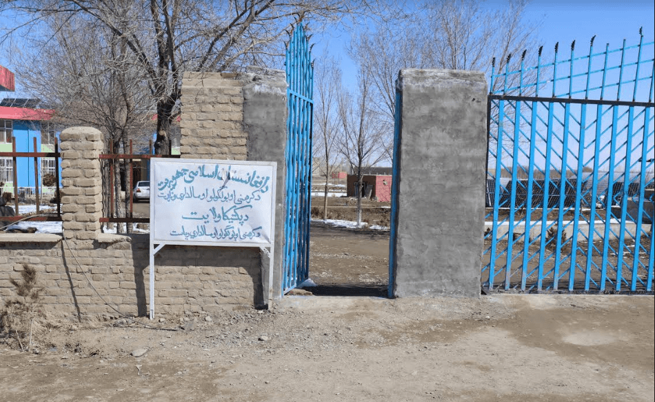 د پکتیکا په پنځو ولسواليو کې د جلغوزو او چارمغزو لسګونه زره نيالګي اېښودل کېږي