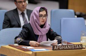 Kabul renews commitment to battling terror