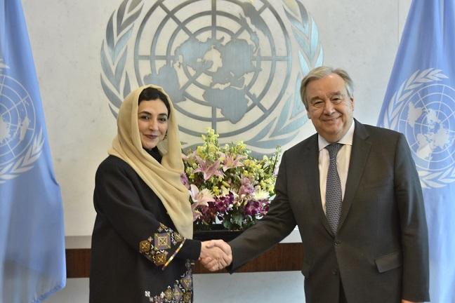 ملګري ملتونه: د سولې روانې هڅې به د افغانستان دایمي ثبات او امنیت ته لار هواره کړي