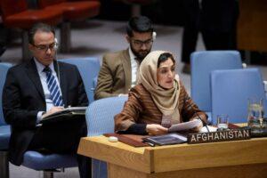 Afghanistan enacts comprehensive counter-terrorism strategy: Raz