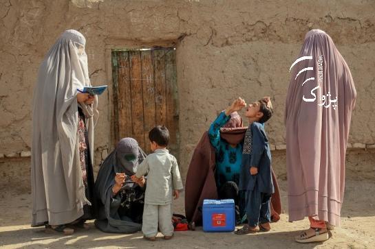Pak, Afghan ulema to join hands for polio eradication