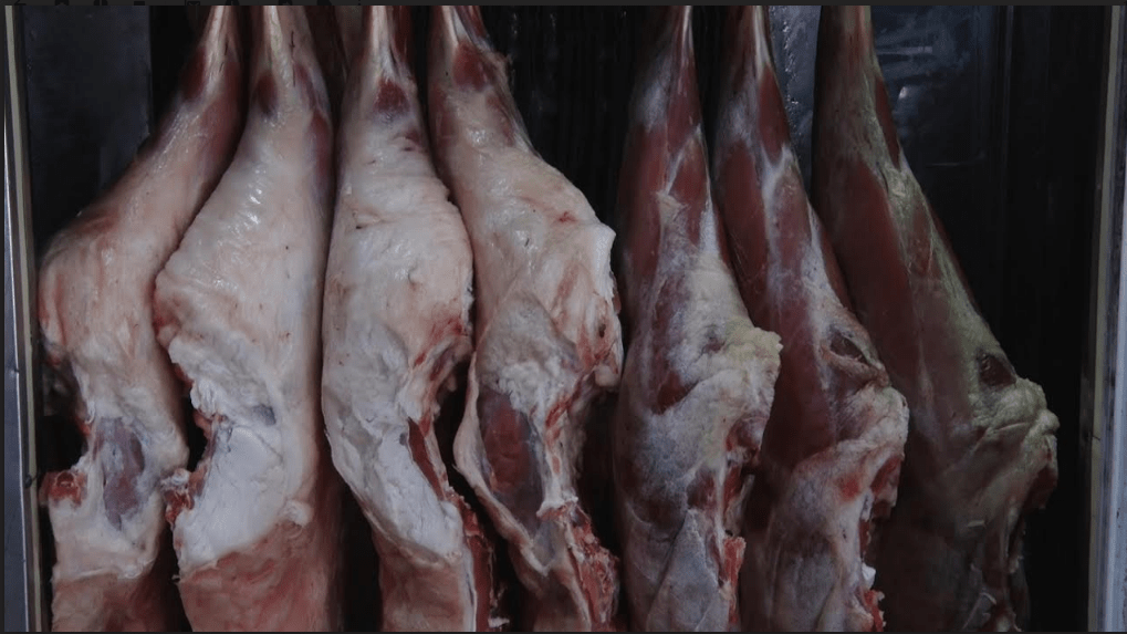 Livestock smuggling to Iran: Mutton price jumps in Herat