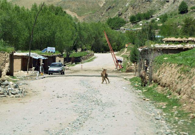Yamgan district falls to Taliban after fierce fighting