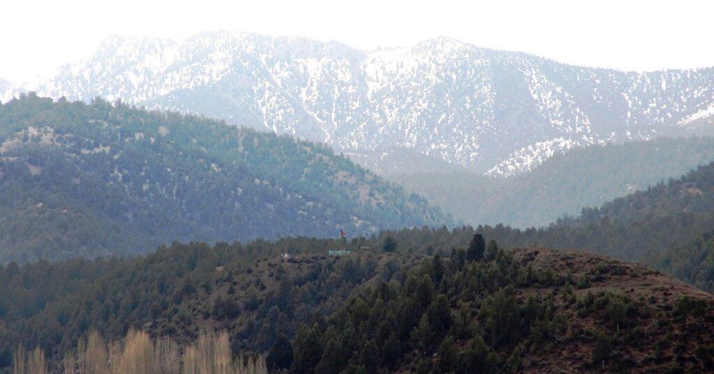 Kunar authorities reject timber smuggling reports