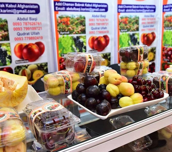 افغانستان از نمایشگاه ممبیی به ارزش ۷۵ میلیون دالر قرارداد و تعهد فروش را به دست آورد