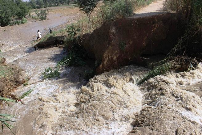 Canal breach destroys crops on vast Baghlan land