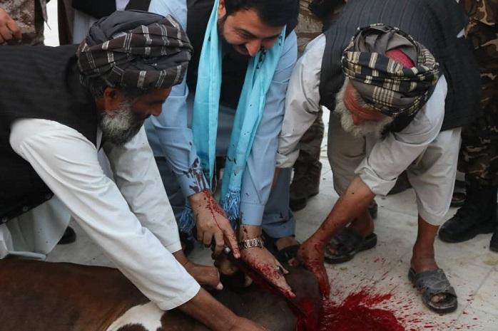 برای استقرار صلح در خرقه کندهار ۱۵۰ مواشی خیرات شد