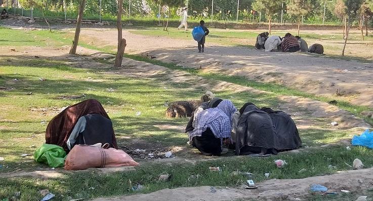 بغلان کې پر نشه يي توکو د روږدو ډېروالي له امله کورني حیوانات هم روږدي شوي