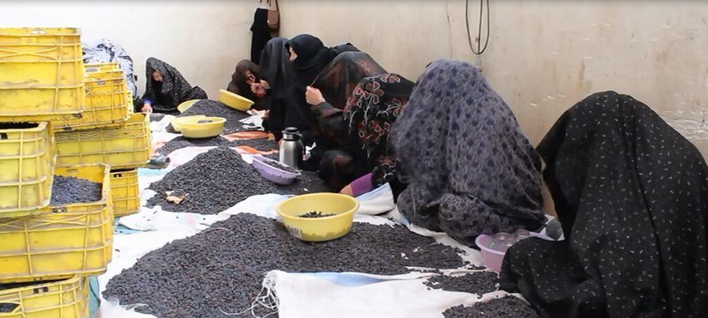 برخى خانم های کارگر در هرات، از مزد کم و کارهاى شاقه شکايت دارند