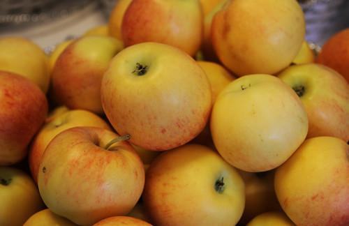 Daikundi apple yield up, but price down