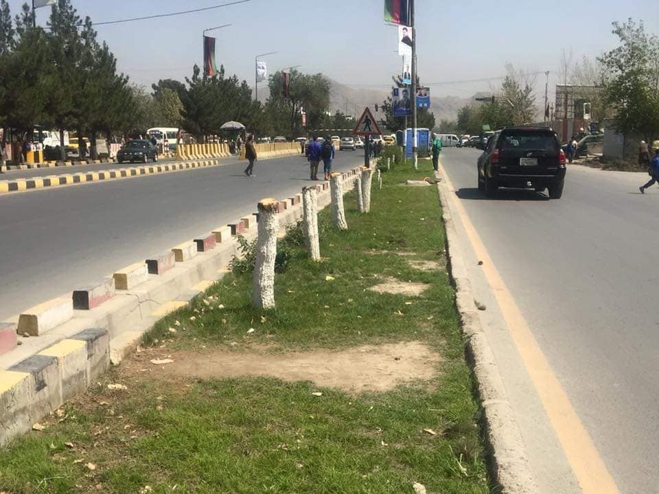 يک شرکت امنيتى که درختان را در کابل قطع کرده بود، شش ميليون افغانى جريمه شد
