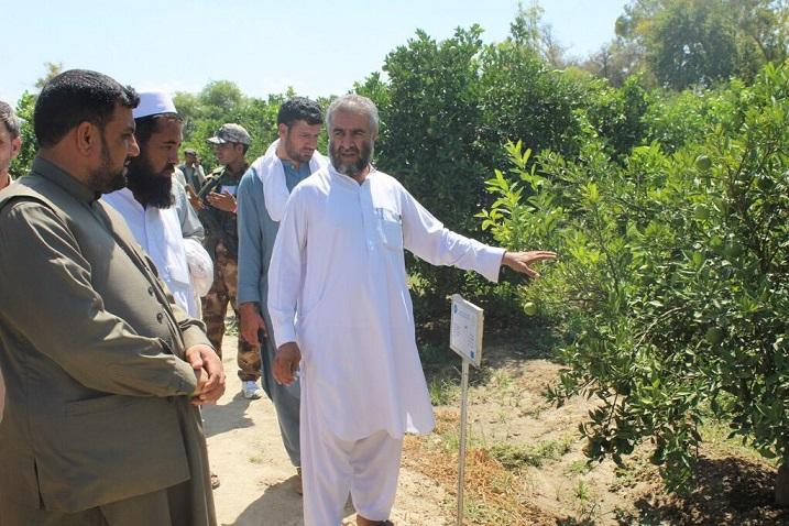 Agri students get practical lessons at Nangarhar research centre