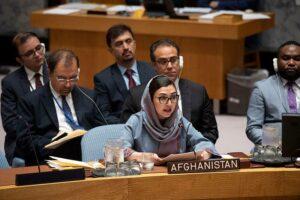 Government committed to hold free, fair elections: Raz