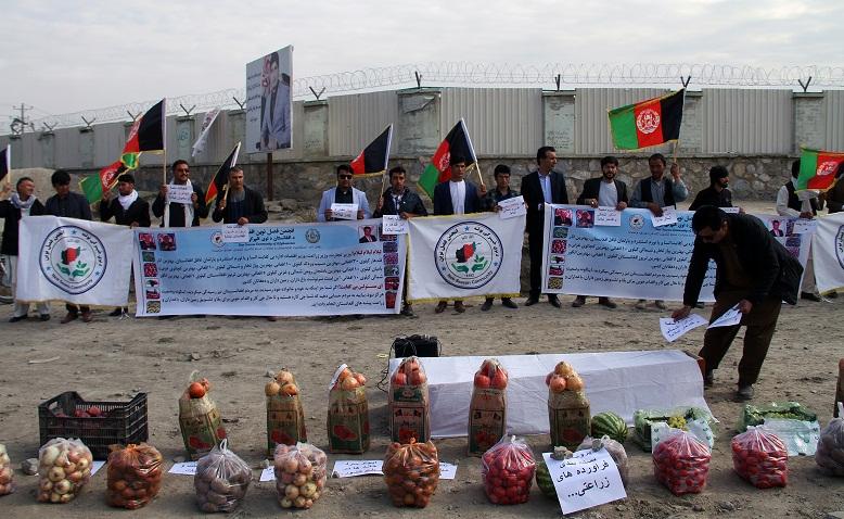 فعالان مدنی تابوت محصولات زراعتی را در مقابل شورای ملی دفن کردند