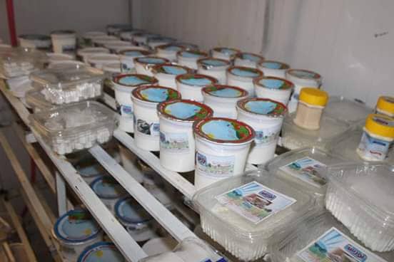 Dairy products’ processing business on decline in Laghman