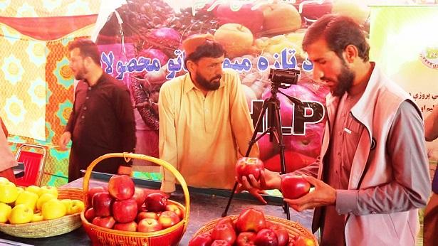 Bumper crops: Paktia farmers demand cold storages