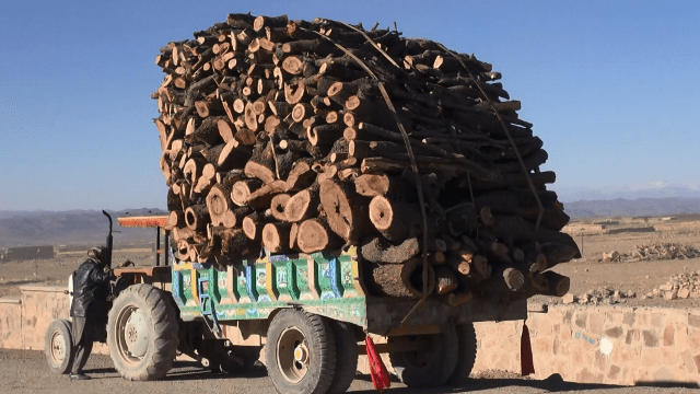 Residents ask govt to stop deforestation in Paktika