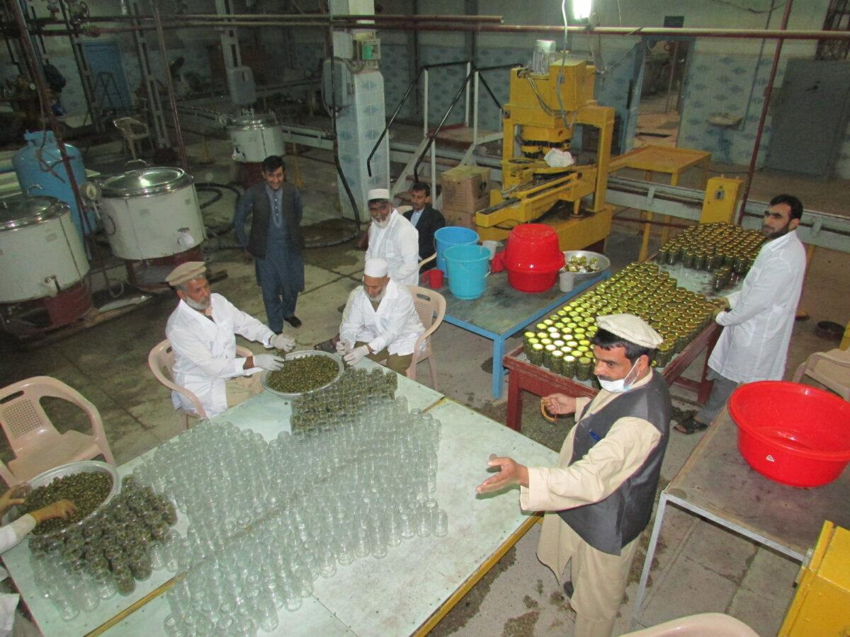 Nangarhar Canal Department revenue reaches 70m afs