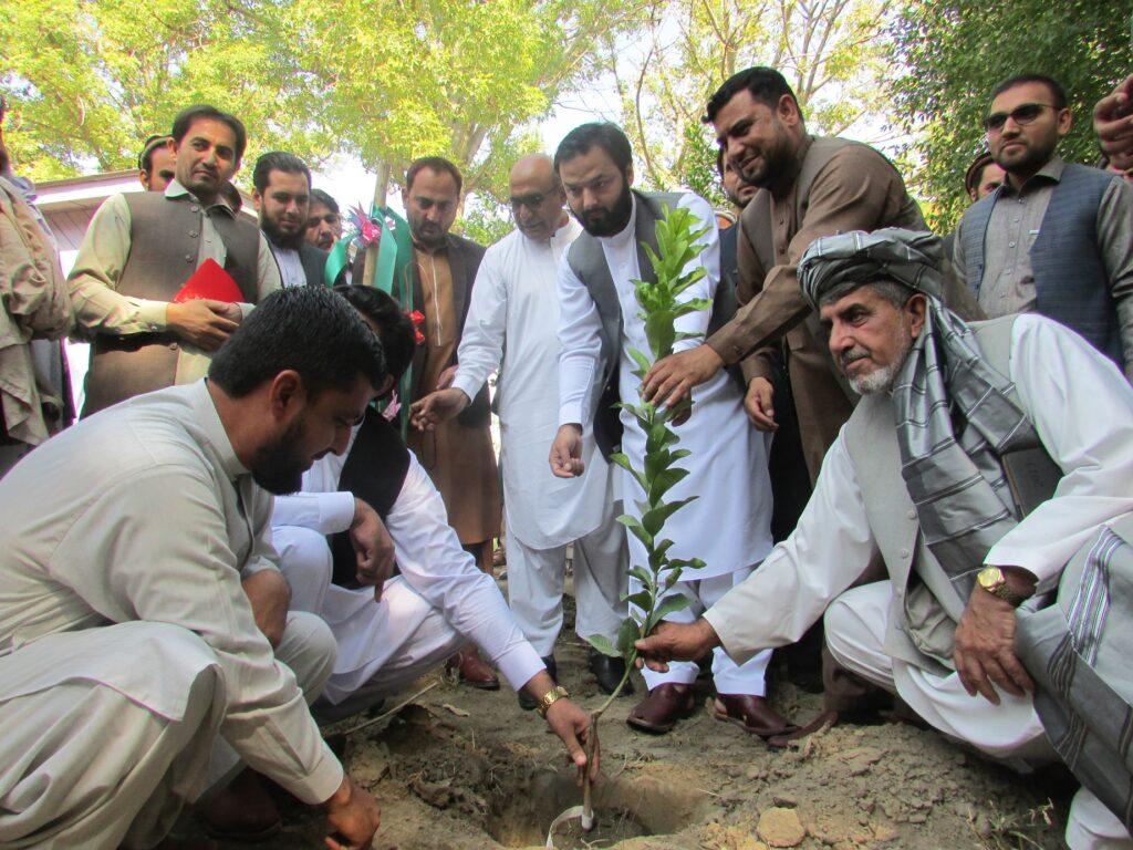 Autumn fruit orchards being planted in Nangarhar