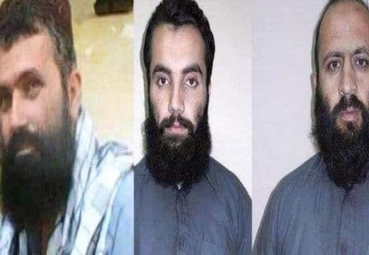 «تبادلۀ سه عضو گروه طالبان با دو استاد پوهنتون امریکایی انجام نشد»