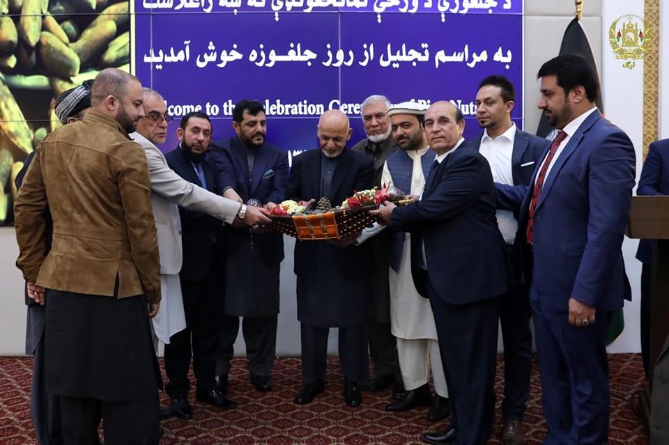 More steps needed to support pine nuts export: Ghani