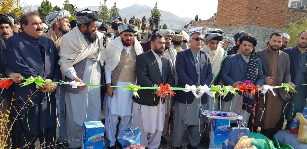 Khost pine nut, walnut forests being rehabilitated