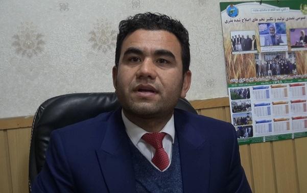 Balkh agriculture yields go 40 percent up this year