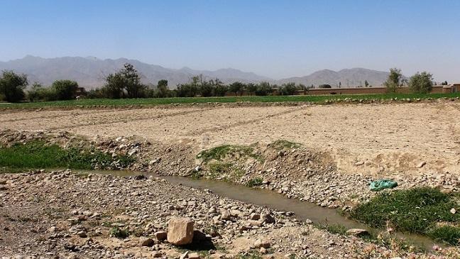 د پکتيا خلک: د کرنې عصري کېدو ته دې ډېر کار وشي