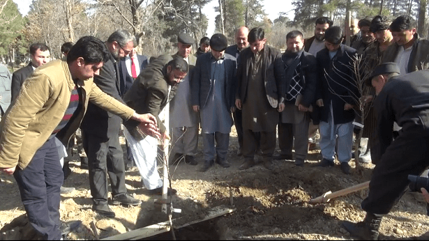 Jangal Bagh garden being revived in Jawzjan