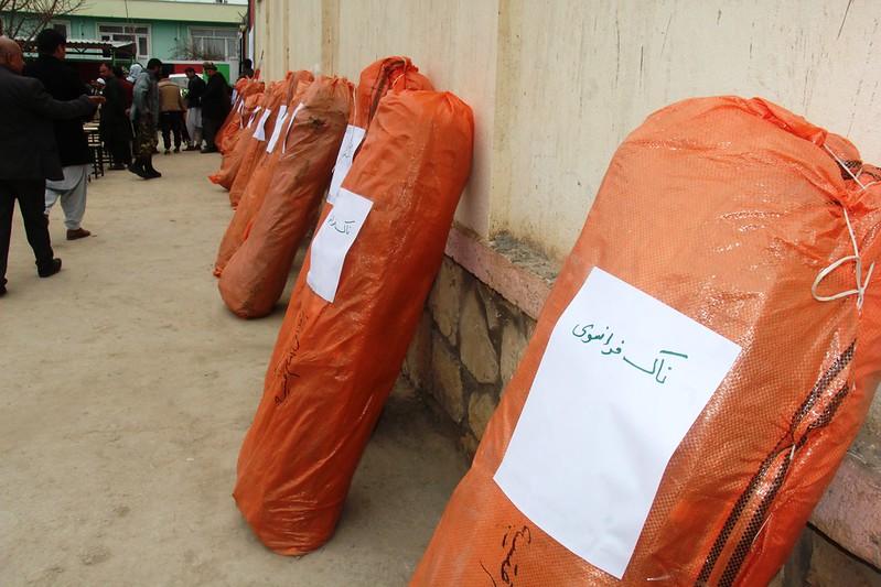 Farmers provided with saplings in Sar-i-Pul